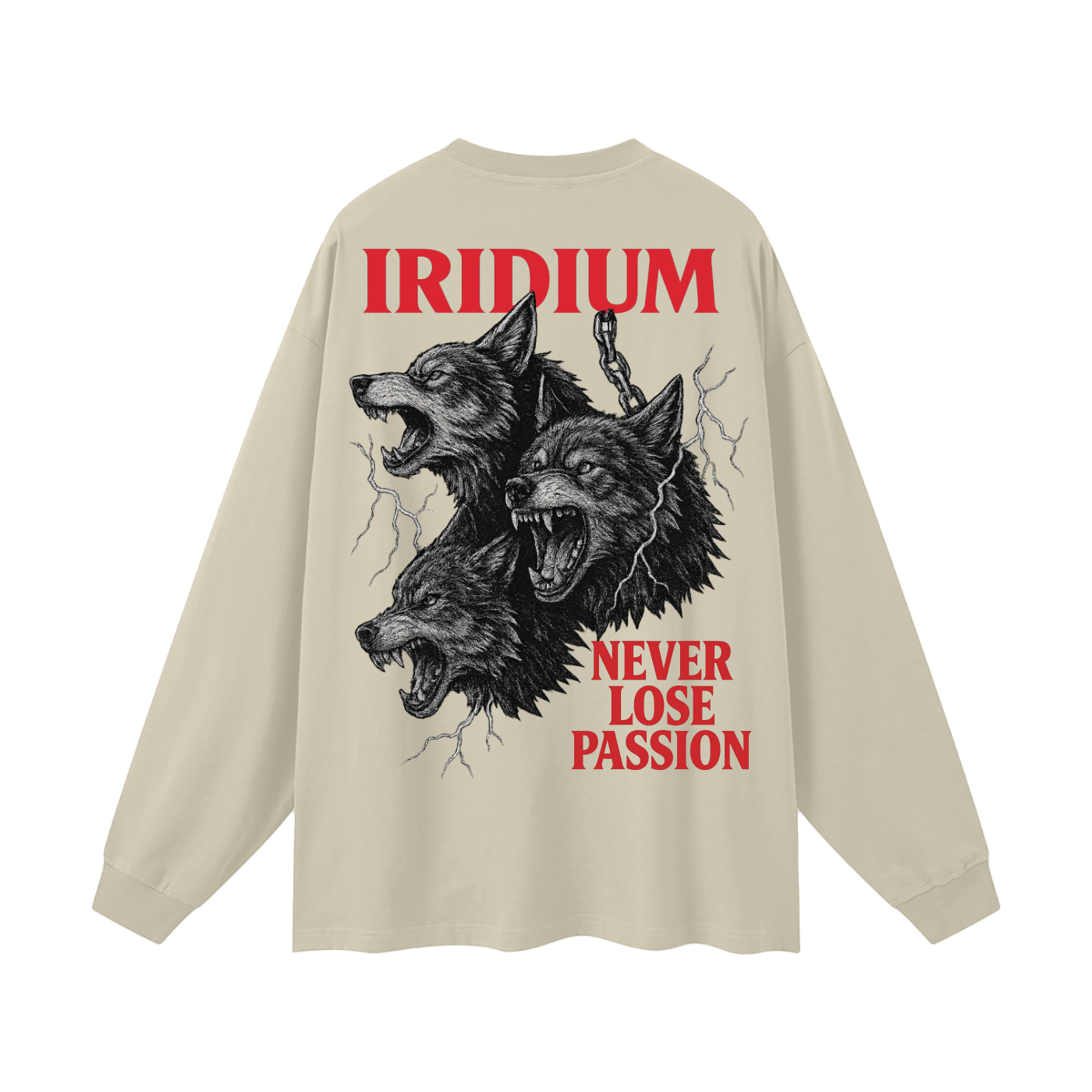 Taming Chaos  Long Sleeve T-Shirt