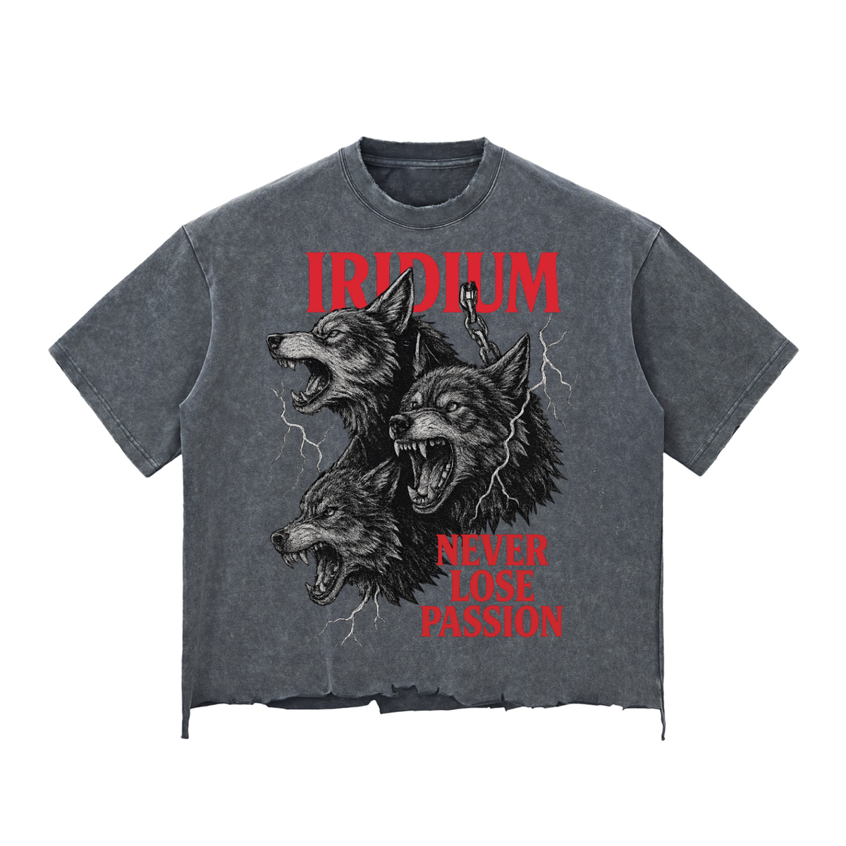 Wolves Stone-Washed Raw-Hem Boxy T-Shirt