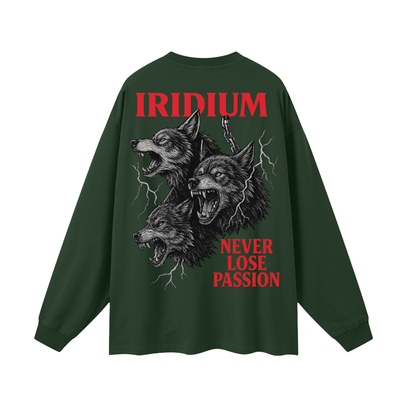 Taming Chaos  Long Sleeve T-Shirt