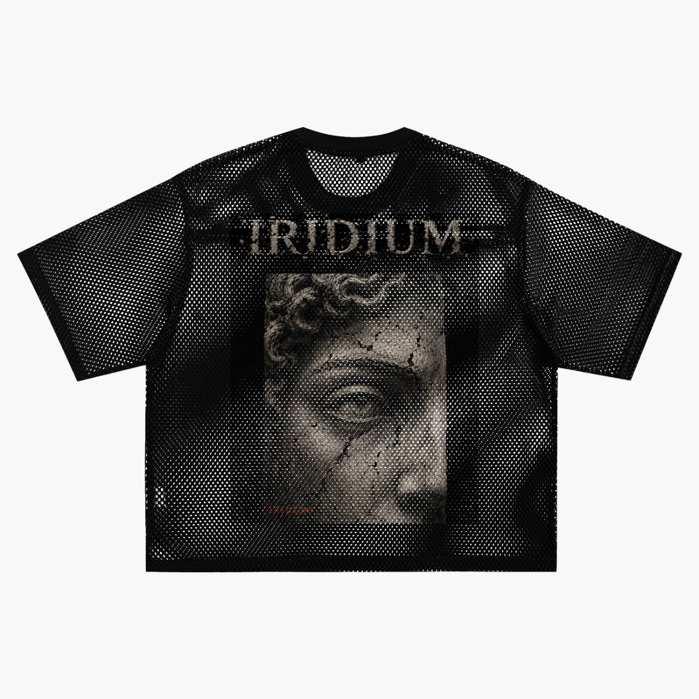 GREEK  C-Through Boxy Net T-Shirt